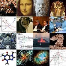 School of Science 1 100