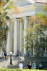 Read more about the article Bachelor of Science Mathematics- PCM (Physics, Chemistry, Mathematics) 01