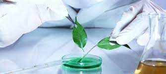 Read more about the article Bachelor of Science Mathematics- PCM (Physics, Chemistry, Mathematics) Education