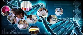 Read more about the article Bachelor of Science Mathematics- PCM (Physics, Chemistry, Mathematics) Case Study