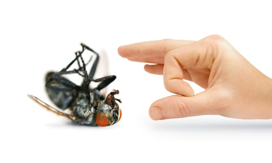 Prevention and Control of Pests